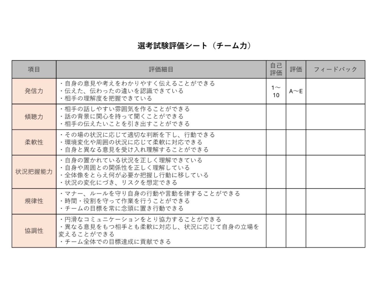 選考試験評価シート 1